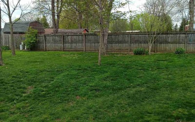 Photo of Ethan M.'s yard after getting lawn care in Oak Ridge, TN