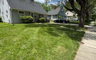 Photo of Cecelia M.'s yard after getting lawn care in Pensacola, FL