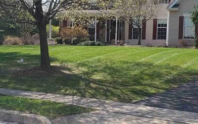 Photo of Myra W.'s yard after getting lawn care in Collegeville, PA