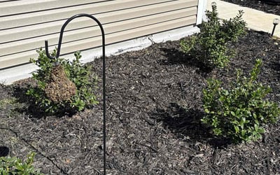 Photo of Tonya M.'s yard after getting lawn care in Edgewood, MD