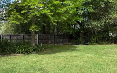 Photo of Owyda C.'s yard after getting lawn care in Baton Rouge, LA