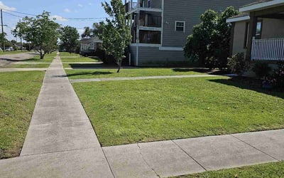 Photo of Diana N.'s yard after getting lawn care in Pascagoula, MS