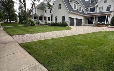 Photo of Johann V.'s yard after getting lawn care in Winston-Salem, NC