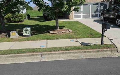 Photo of Christina P.'s yard after getting lawn care in Manhattan Beach, CA