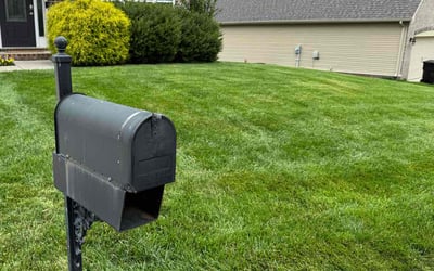 Photo of Diamond Y.'s yard after getting lawn care in Jonesboro, GA