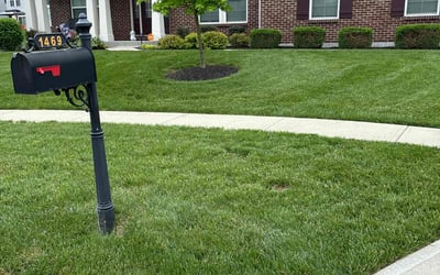 Photo of Jarred W.'s yard after getting lawn care in Maineville, OH