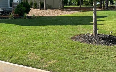 Photo of Ed A.'s yard after getting lawn care in Great Falls, SC