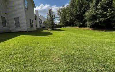 Photo of Vernon H.'s yard after getting lawn care in Monticello, MN