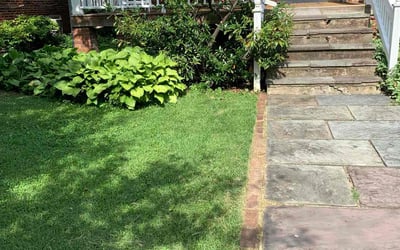 Photo of Laura A.'s yard after getting lawn care in Port Huron, MI