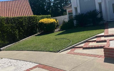 Photo of Teri G.'s yard after getting lawn care in Irvine, CA
