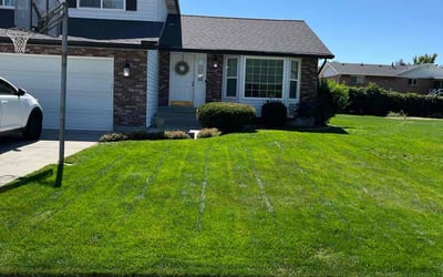 Photo of Ellen A.'s yard after getting lawn care in Sandy, UT