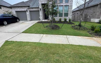 Photo of Ethan A.'s yard after getting lawn care in Buda, TX