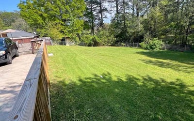 Photo of Paula P.'s yard after getting lawn care in Rex, GA