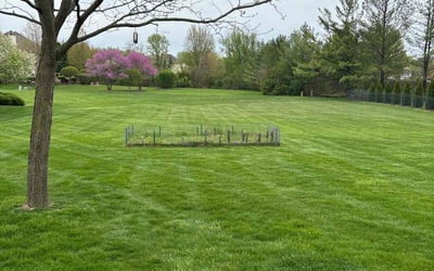 Photo of Cathy F.'s yard after getting lawn care in Lemont, IL