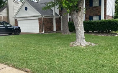 Photo of Don L.'s yard after getting lawn care in Grapevine, TX