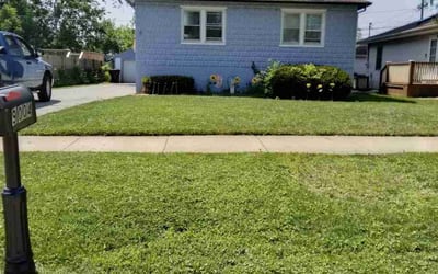 Photo of Sherry B.'s yard after getting lawn care in Oak Lawn, IL