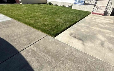 Photo of Matthew B.'s yard after getting lawn care in Columbus, GA