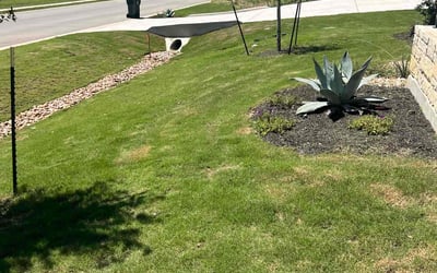 Photo of Raymond G.'s yard after getting lawn care in Dripping Springs, TX