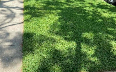 Photo of Christopher L.'s yard after getting lawn care in Center Point, AL