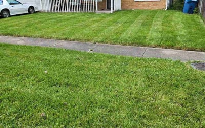 Photo of Ethan H.'s yard after getting lawn care in Normal, IL