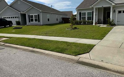 Photo of Roddy H.'s yard after getting lawn care in Canandaigua, NY