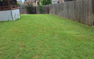Photo of Marsha B.'s yard after getting lawn care in Schertz, TX