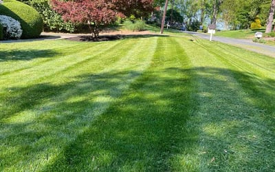 Photo of Sherri M.'s yard after getting lawn care in Bethesda, MD