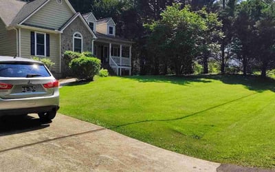 Photo of Michael B.'s yard after getting lawn care in Hastings, MN