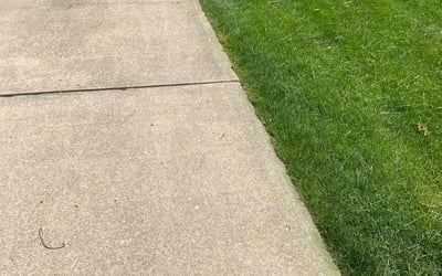 Photo of Evan H.'s yard after getting lawn care in Bridgeville, PA