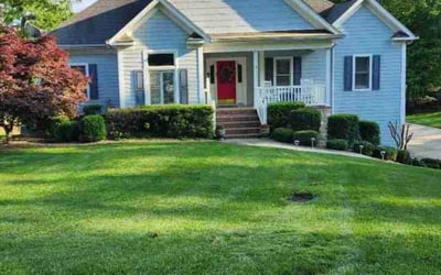 Photo of Ashley R.'s yard after getting lawn care in Denver, NC