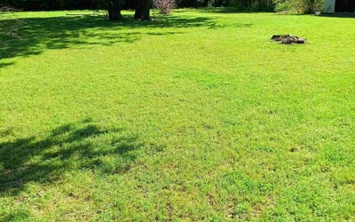 Photo of Linda J.'s yard after getting lawn care in Okmulgee, OK