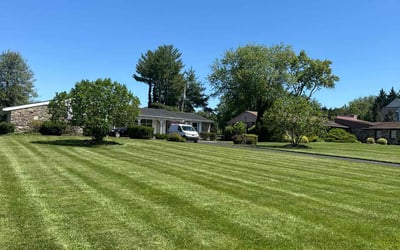 Photo of Nick W.'s yard after getting lawn care in Cheektowaga, NY