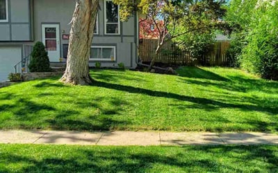 Photo of Michael J.'s yard after getting lawn care in Lincoln, NE