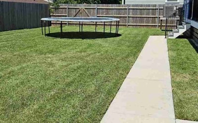 Photo of Patricia W.'s yard after getting lawn care in Chalmette, LA