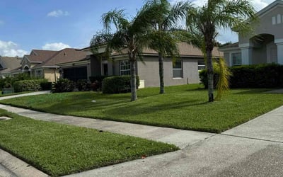 Photo of Ruth H.'s yard after getting lawn care in Wesley Chapel, FL