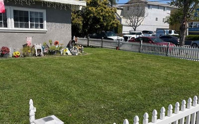 Photo of Wayne J.'s yard after getting lawn care in Hawthorne, CA
