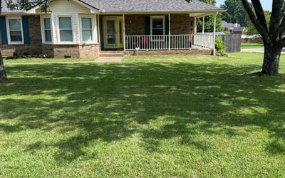 Photo of Rebecca F.'s yard after getting lawn care in La Vergne, TN