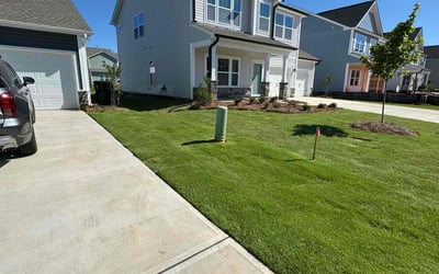 Photo of Jackie R.'s yard after getting lawn care in Mebane, NC