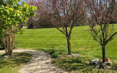 Photo of Nathaniel B.'s yard after getting lawn care in Royersford, PA