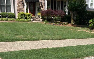 Photo of Brian J.'s yard after getting lawn care in Woodstock, GA