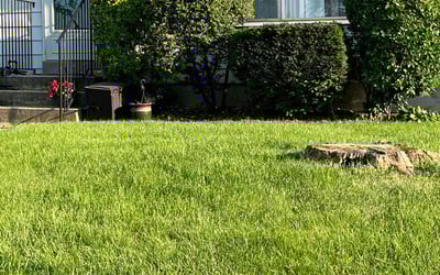 Photo of Maxwell R.'s yard after getting lawn care in Monroe, WA