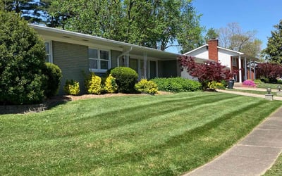 Photo of Matthew B.'s yard after getting lawn care in New Albany, IN