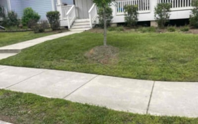 Photo of Eunice D.'s yard after getting lawn care in Rockville, MD