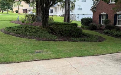 Photo of Robert K.'s yard after getting tree care in Franklinton, NC
