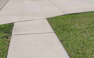 Photo of Gang R.'s yard after getting lawn care in El Cerrito, CA