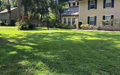 Photo of Sandra W.'s yard after getting lawn care in Flagler Beach, FL