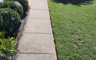 Photo of Loretta W.'s yard after getting lawn care in Dover, DE