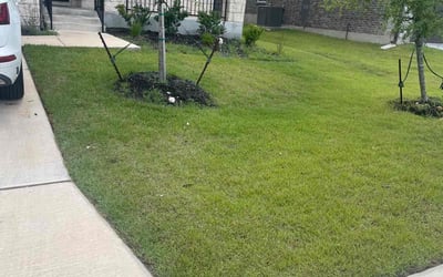 Photo of Katherine P.'s yard after getting lawn care in Comfort, TX