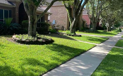 Photo of Sarah G.'s yard after getting lawn care in Hialeah, FL