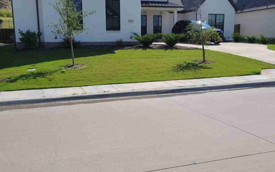 Photo of Lara G.'s yard after getting lawn care in Spring Hill, FL